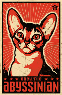abyssinian_poster.jpg