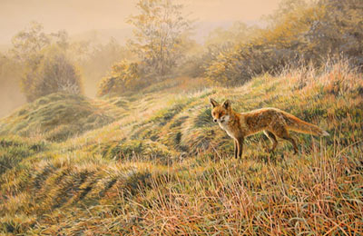 fox.jpg